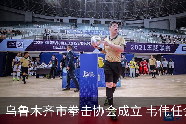 乌鲁木齐市拳击协会成立 韦伟任会长